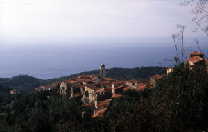 cannicchio--